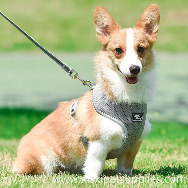 Enhanced Strength Best Front Range Pet Harness Large Dog Chest Belt